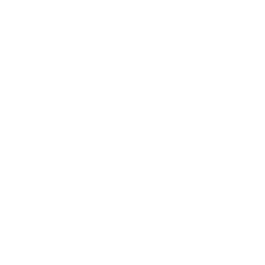 Lessence HEALTH Logo 300px 1